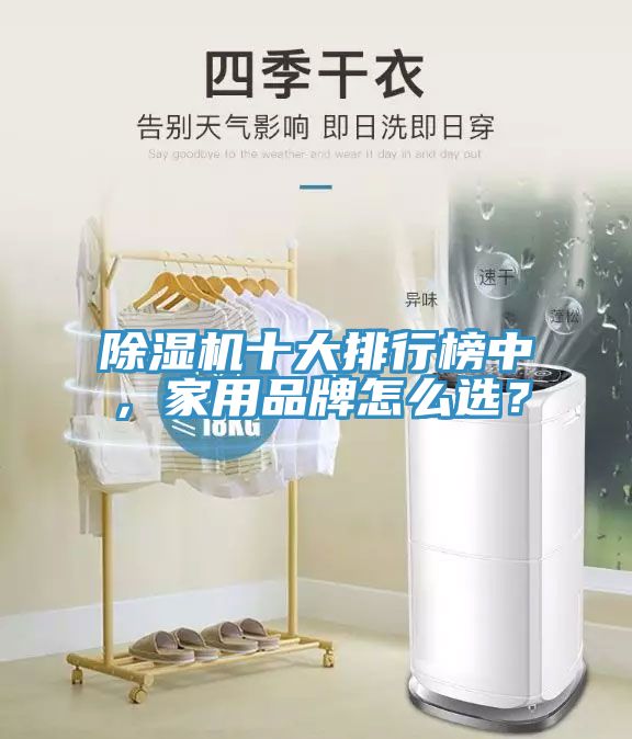 除濕機(jī)十大排行榜中，家用品牌怎么選？
