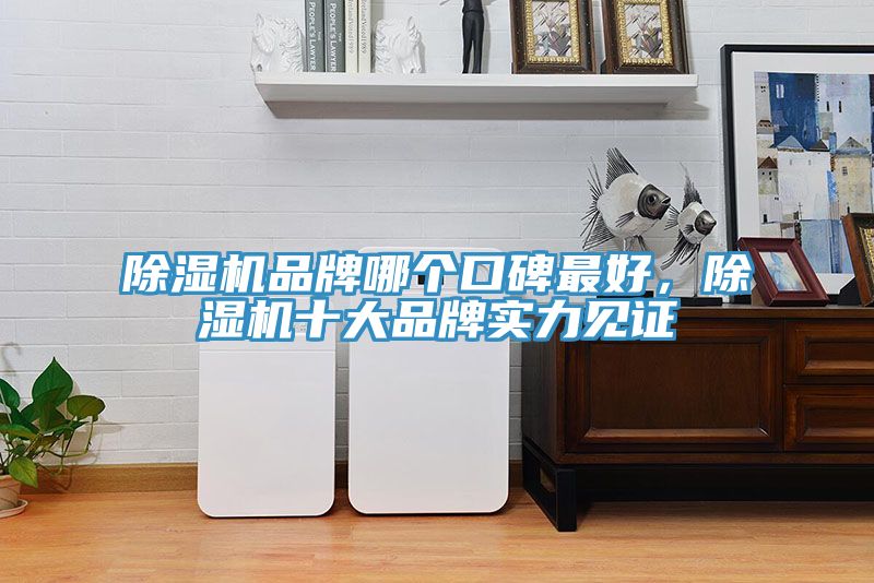 除濕機品牌哪個口碑最好，除濕機十大品牌實力見證
