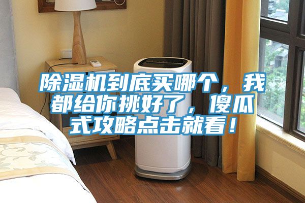 除濕機(jī)到底買哪個(gè)，我都給你挑好了，傻瓜式攻略點(diǎn)擊就看！