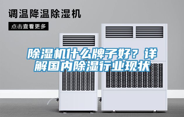 除濕機什么牌子好？詳解國內除濕行業(yè)現(xiàn)狀