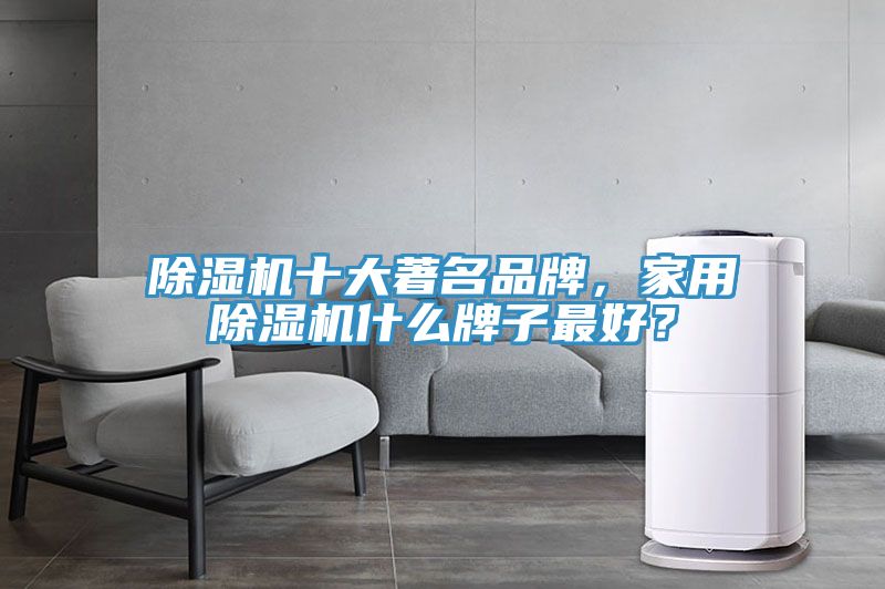 除濕機(jī)十大著名品牌，家用除濕機(jī)什么牌子最好？