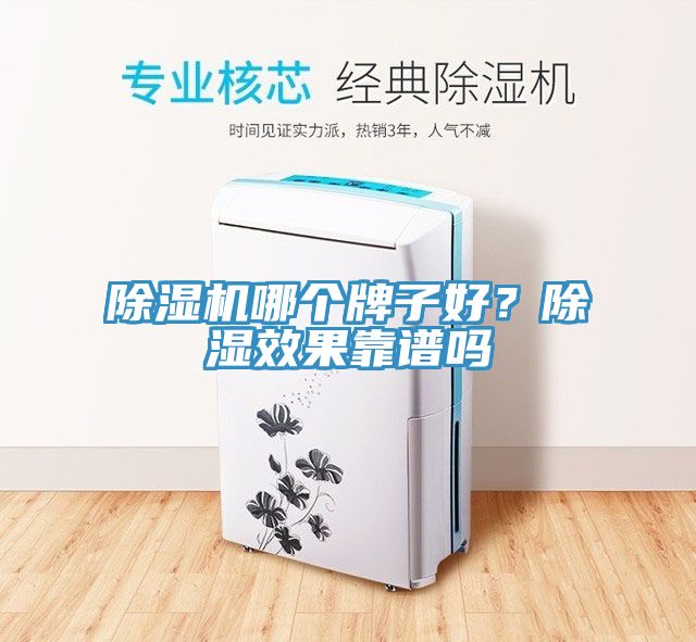 除濕機哪個牌子好？除濕效果靠譜嗎