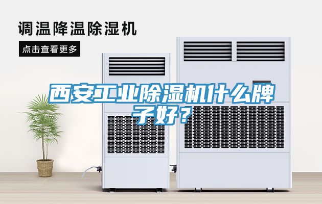 西安工業(yè)除濕機(jī)什么牌子好？