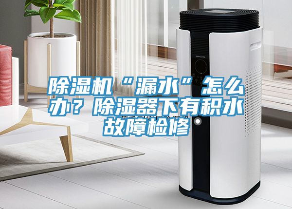 除濕機“漏水”怎么辦？除濕器下有積水故障檢修