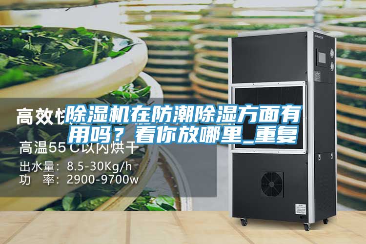 除濕機(jī)在防潮除濕方面有用嗎？看你放哪里_重復(fù)