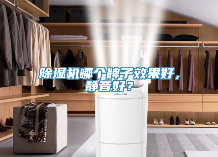 除濕機(jī)哪個(gè)牌子效果好，靜音好？