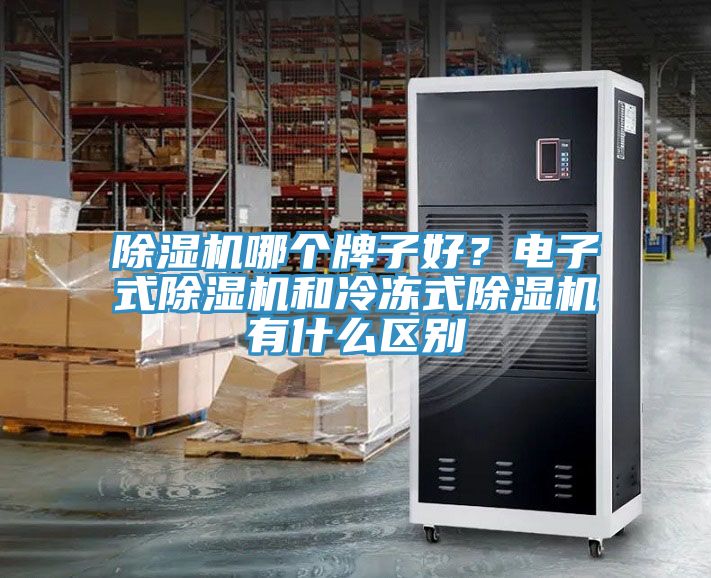 除濕機哪個牌子好？電子式除濕機和冷凍式除濕機有什么區(qū)別