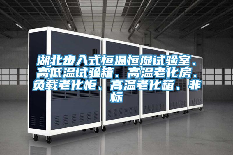 湖北步入式恒溫恒濕試驗(yàn)室、高低溫試驗(yàn)箱、高溫老化房、負(fù)載老化柜、高溫老化箱、非標(biāo)