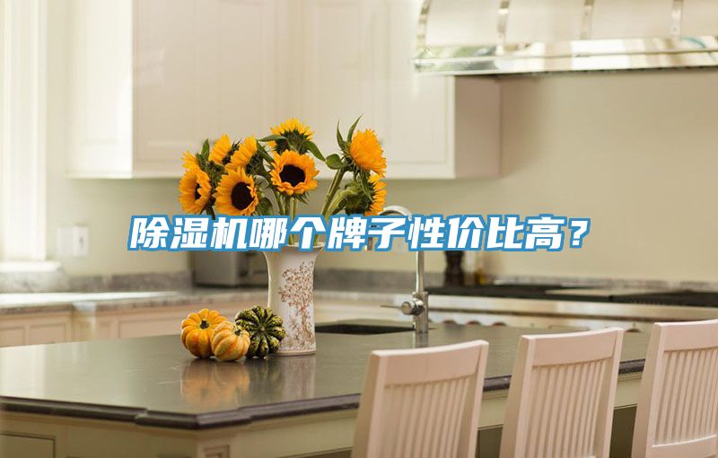 除濕機哪個牌子性價比高？