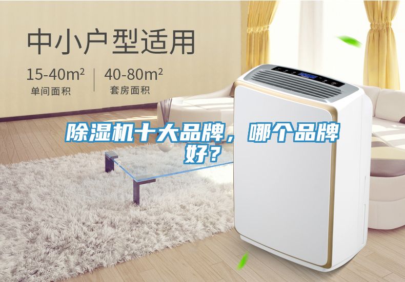 除濕機(jī)十大品牌，哪個(gè)品牌好？