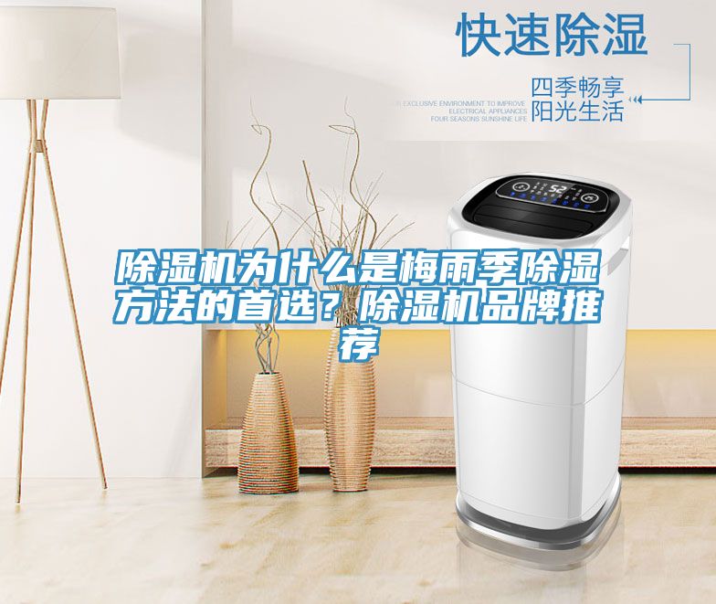 除濕機(jī)為什么是梅雨季除濕方法的首選？除濕機(jī)品牌推薦