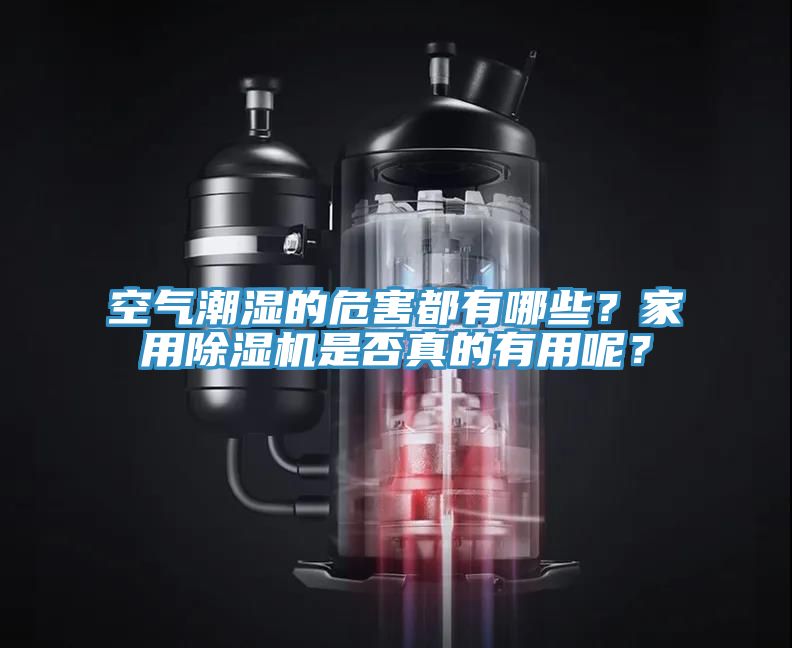 空氣潮濕的危害都有哪些？家用除濕機(jī)是否真的有用呢？