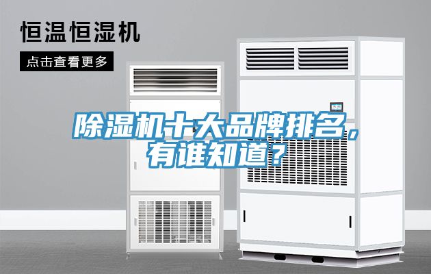 除濕機十大品牌排名，有誰知道？