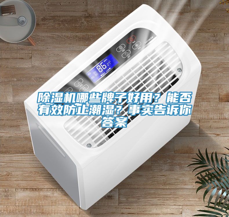 除濕機哪些牌子好用？能否有效防止潮濕？事實告訴你答案