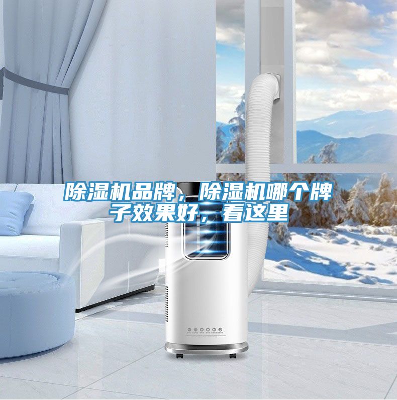除濕機品牌，除濕機哪個牌子效果好，看這里