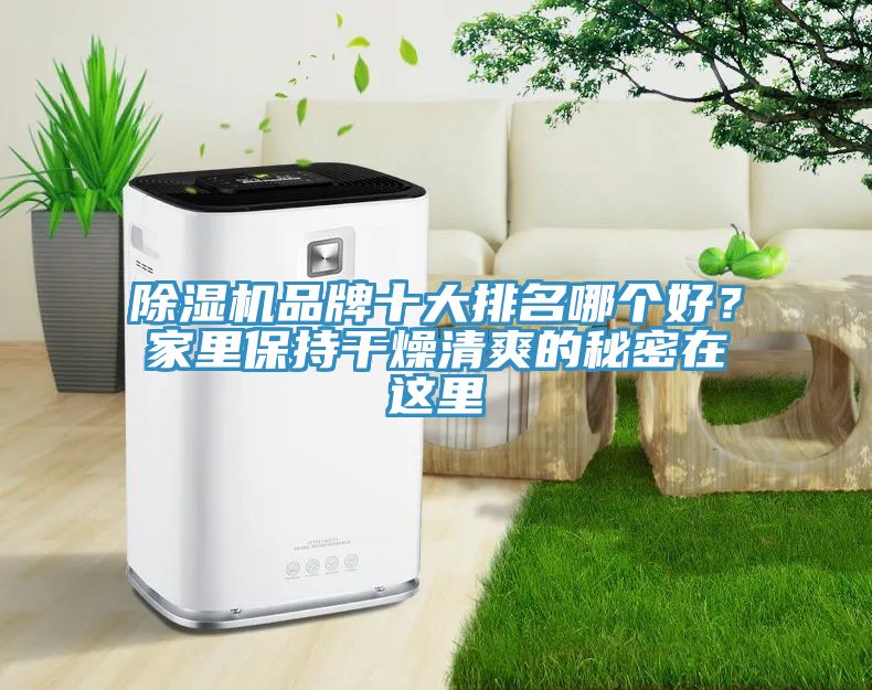 除濕機品牌十大排名哪個好？家里保持干燥清爽的秘密在這里