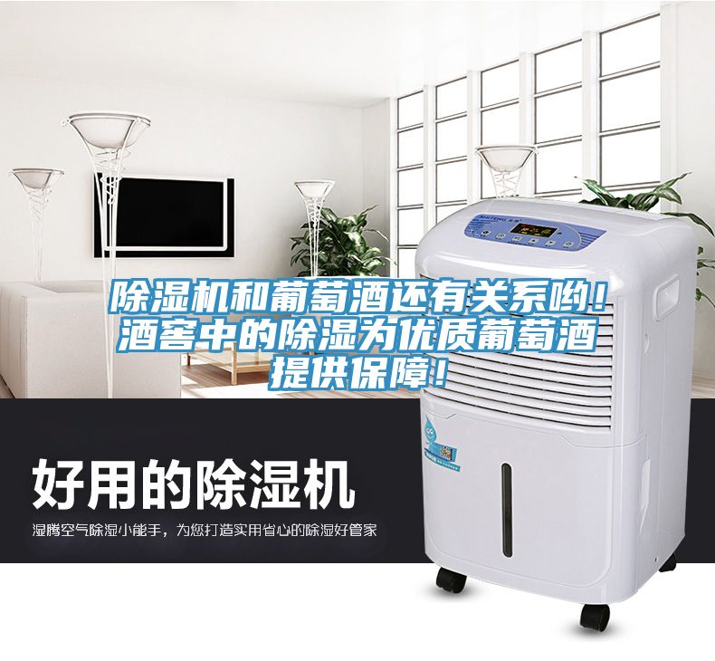 除濕機和葡萄酒還有關(guān)系喲！酒窖中的除濕為優(yōu)質(zhì)葡萄酒提供保障！