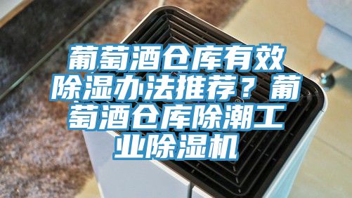 葡萄酒倉庫有效除濕辦法推薦？葡萄酒倉庫除潮工業(yè)除濕機(jī)