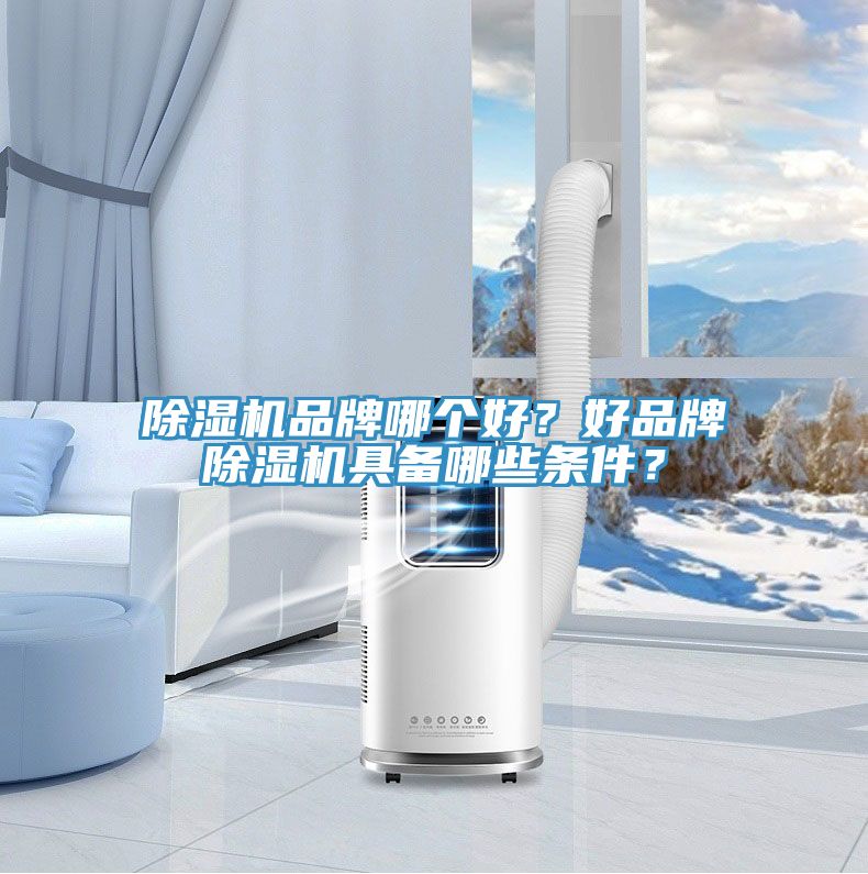 除濕機(jī)品牌哪個(gè)好？好品牌除濕機(jī)具備哪些條件？