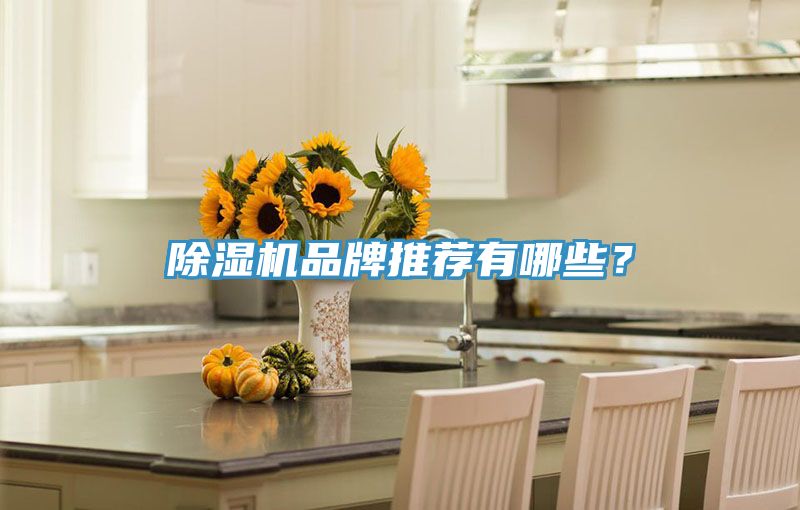 除濕機(jī)品牌推薦有哪些？