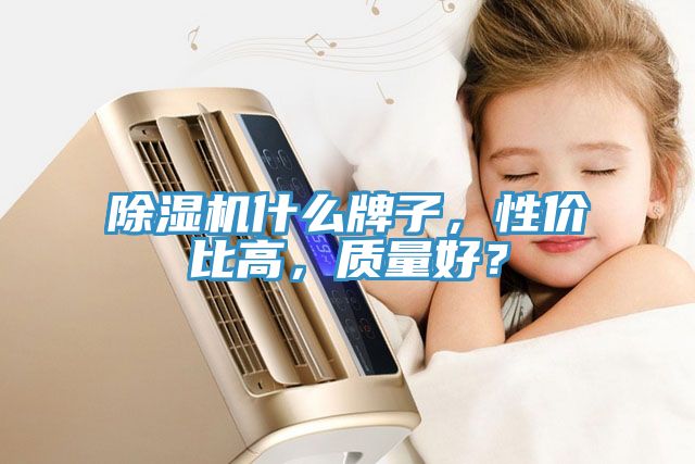 除濕機什么牌子，性價比高，質(zhì)量好？