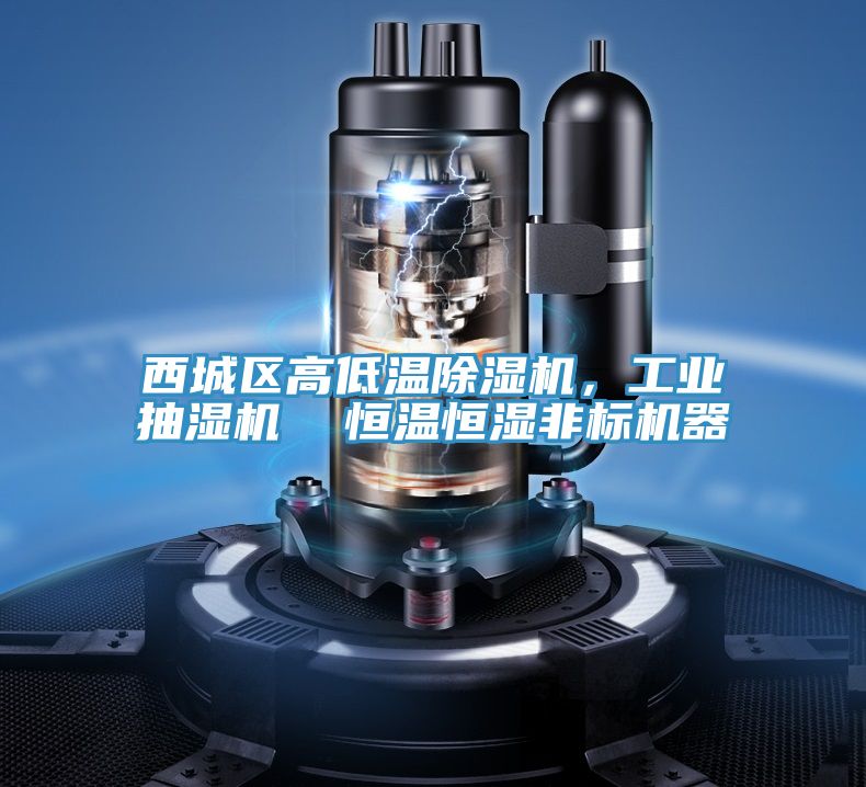 西城區(qū)高低溫除濕機(jī)，工業(yè)抽濕機(jī)  恒溫恒濕非標(biāo)機(jī)器