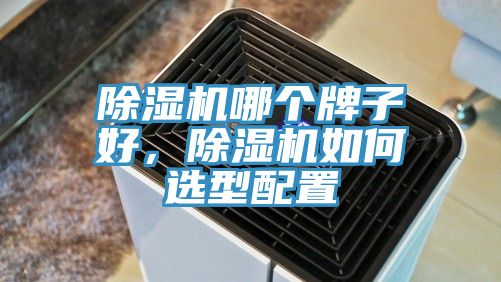 除濕機哪個牌子好，除濕機如何選型配置