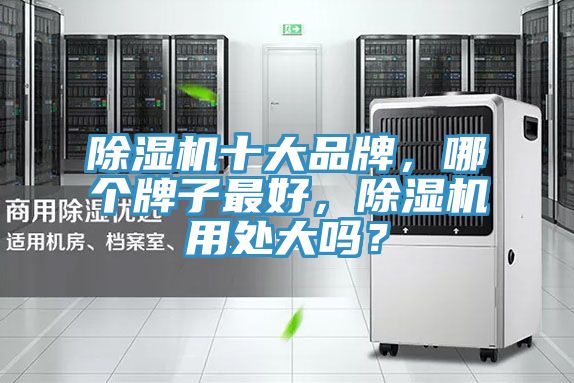 除濕機(jī)十大品牌，哪個(gè)牌子最好，除濕機(jī)用處大嗎？