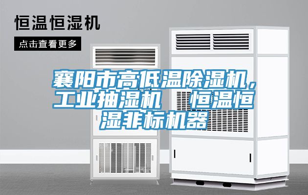 襄陽(yáng)市高低溫除濕機(jī)，工業(yè)抽濕機(jī)  恒溫恒濕非標(biāo)機(jī)器