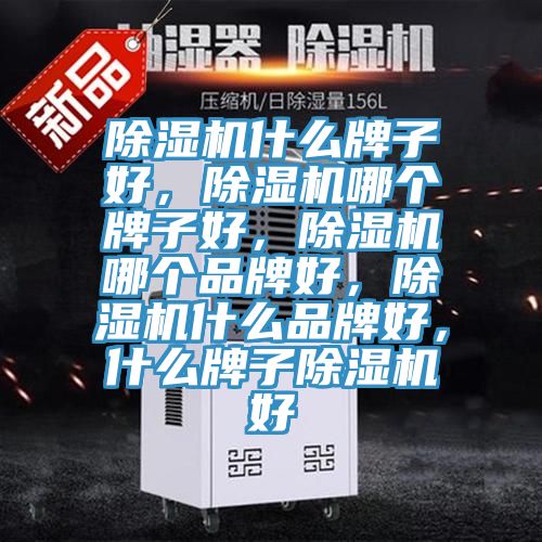 除濕機什么牌子好，除濕機哪個牌子好，除濕機哪個品牌好，除濕機什么品牌好，什么牌子除濕機好
