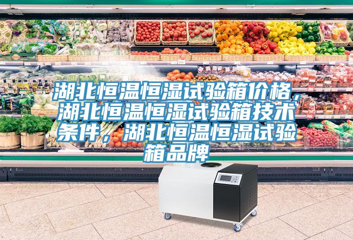 湖北恒溫恒濕試驗箱價格，湖北恒溫恒濕試驗箱技術(shù)條件，湖北恒溫恒濕試驗箱品牌