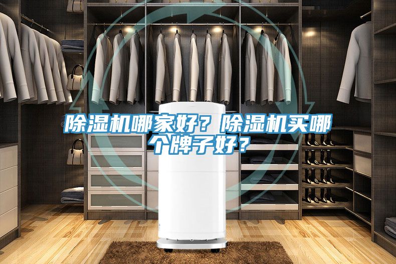 除濕機哪家好？除濕機買哪個牌子好？