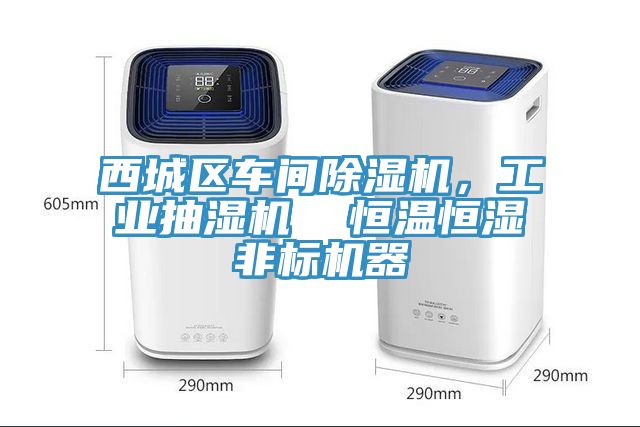 西城區(qū)車間除濕機(jī)，工業(yè)抽濕機(jī)  恒溫恒濕非標(biāo)機(jī)器