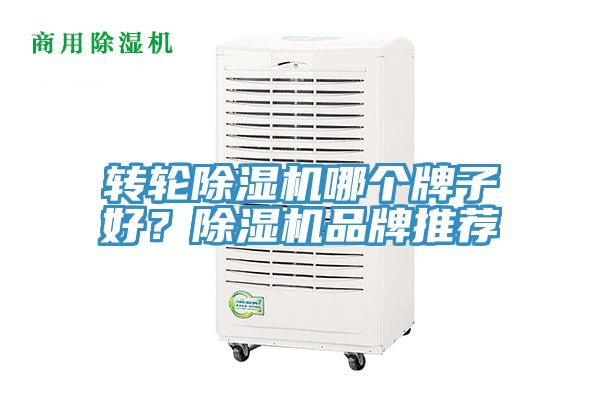 轉輪除濕機哪個牌子好？除濕機品牌推薦