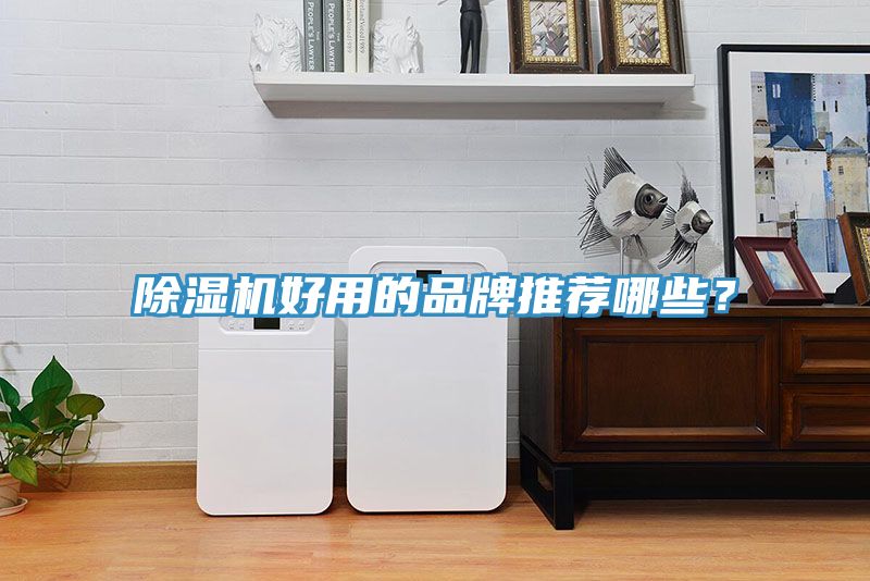 除濕機好用的品牌推薦哪些？