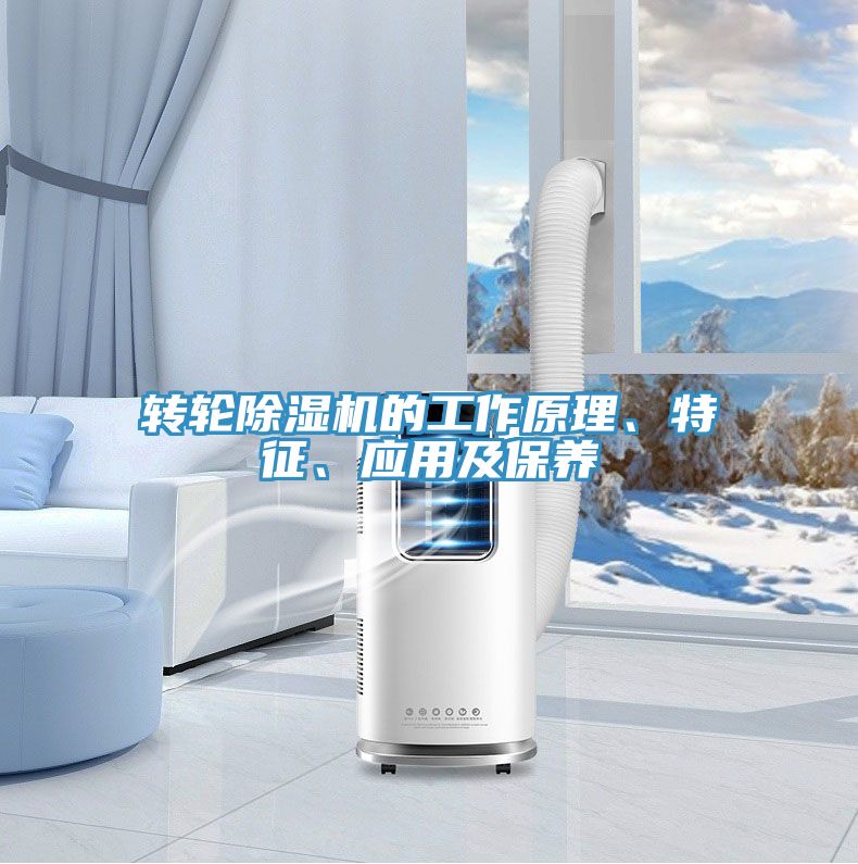轉(zhuǎn)輪除濕機的工作原理、特征、應(yīng)用及保養(yǎng)
