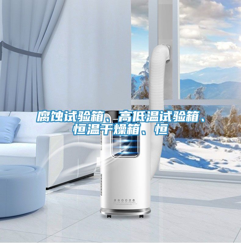 腐蝕試驗(yàn)箱、高低溫試驗(yàn)箱、恒溫干燥箱、恒