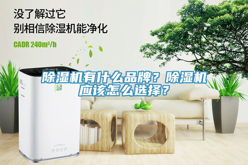 除濕機(jī)有什么品牌？除濕機(jī)應(yīng)該怎么選擇？