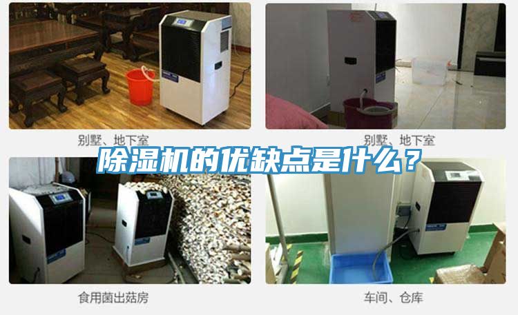 除濕機的優(yōu)缺點是什么？