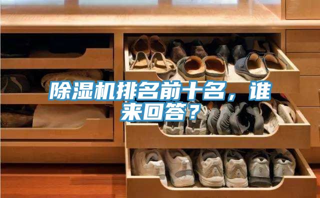 除濕機(jī)排名前十名，誰(shuí)來(lái)回答？