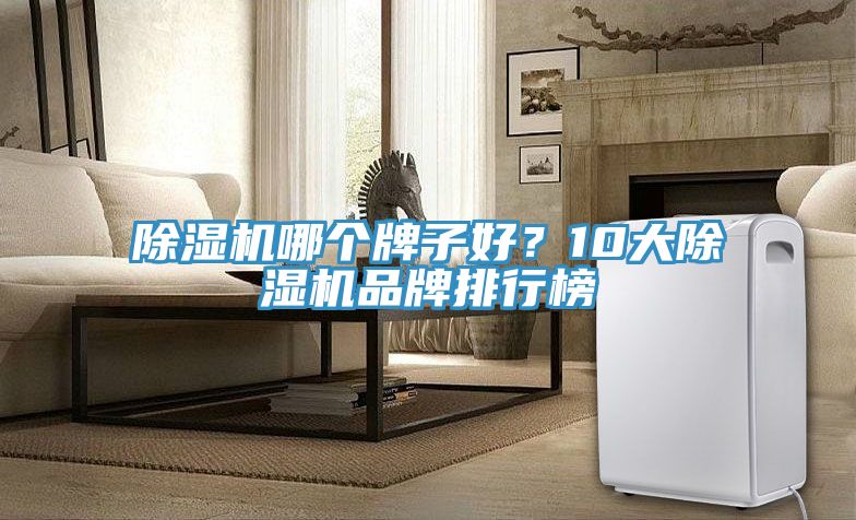 除濕機哪個牌子好？10大除濕機品牌排行榜