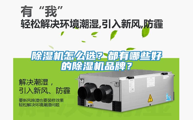 除濕機(jī)怎么選？都有哪些好的除濕機(jī)品牌？