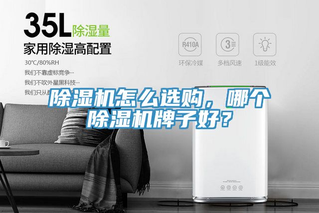 除濕機(jī)怎么選購(gòu)，哪個(gè)除濕機(jī)牌子好？