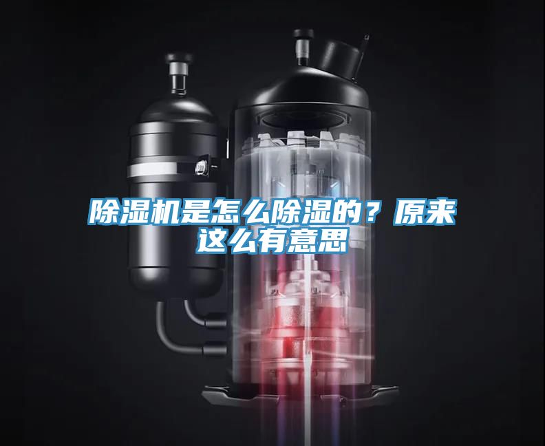 除濕機是怎么除濕的？原來這么有意思