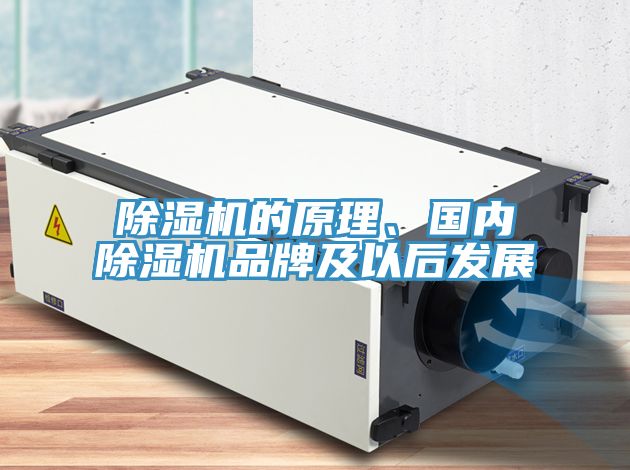 除濕機的原理、國內(nèi)除濕機品牌及以后發(fā)展