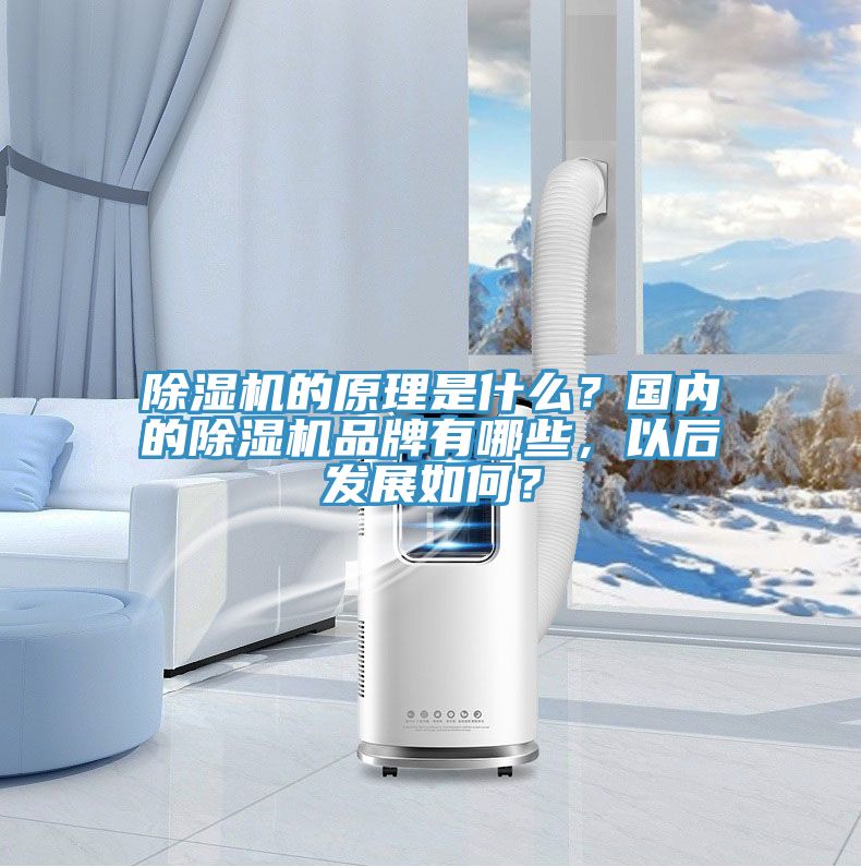 除濕機的原理是什么？國內(nèi)的除濕機品牌有哪些，以后發(fā)展如何？