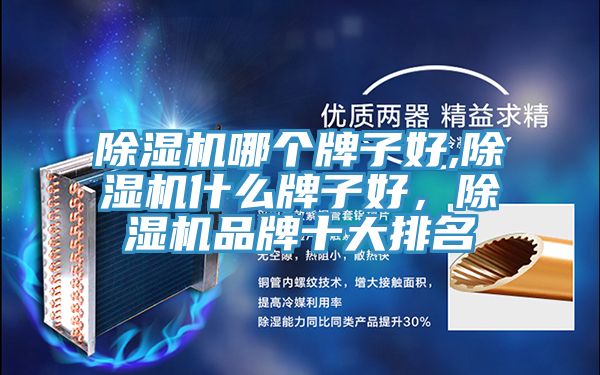 除濕機(jī)哪個(gè)牌子好,除濕機(jī)什么牌子好，除濕機(jī)品牌十大排名