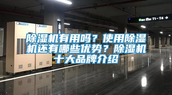 除濕機(jī)有用嗎？使用除濕機(jī)還有哪些優(yōu)勢？除濕機(jī)十大品牌介紹