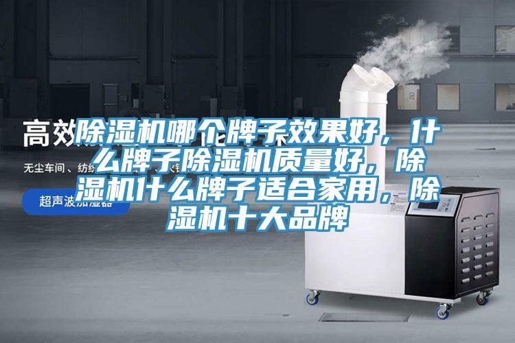 除濕機(jī)哪個(gè)牌子效果好，什么牌子除濕機(jī)質(zhì)量好，除濕機(jī)什么牌子適合家用，除濕機(jī)十大品牌