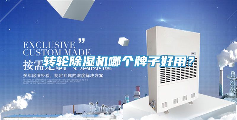 轉輪除濕機哪個牌子好用？